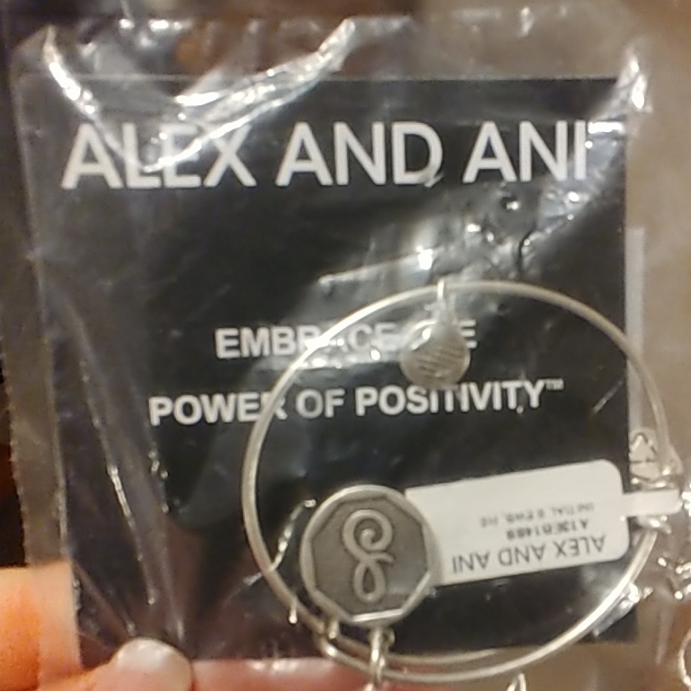 Alex And Ani Initial S bracelet